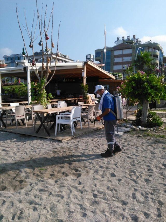 Alanya’da haşere mücadelesi sürüyor