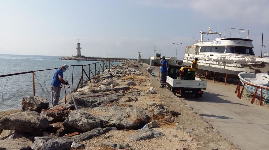 Alanya&rsquo;da haşere m&uuml;cadelesi s&uuml;r&uuml;yor