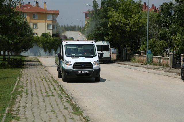 Odunpazarı’ndan haşereyle mücadele