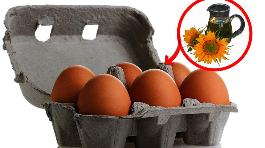 Bir profesyonelden daha iyi yemek pişirmenize yardımcı olacak 7 mutfak ipucu