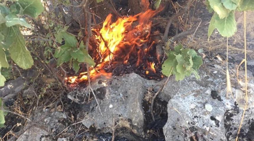 Sincik il&ccedil;esinde orman yangını