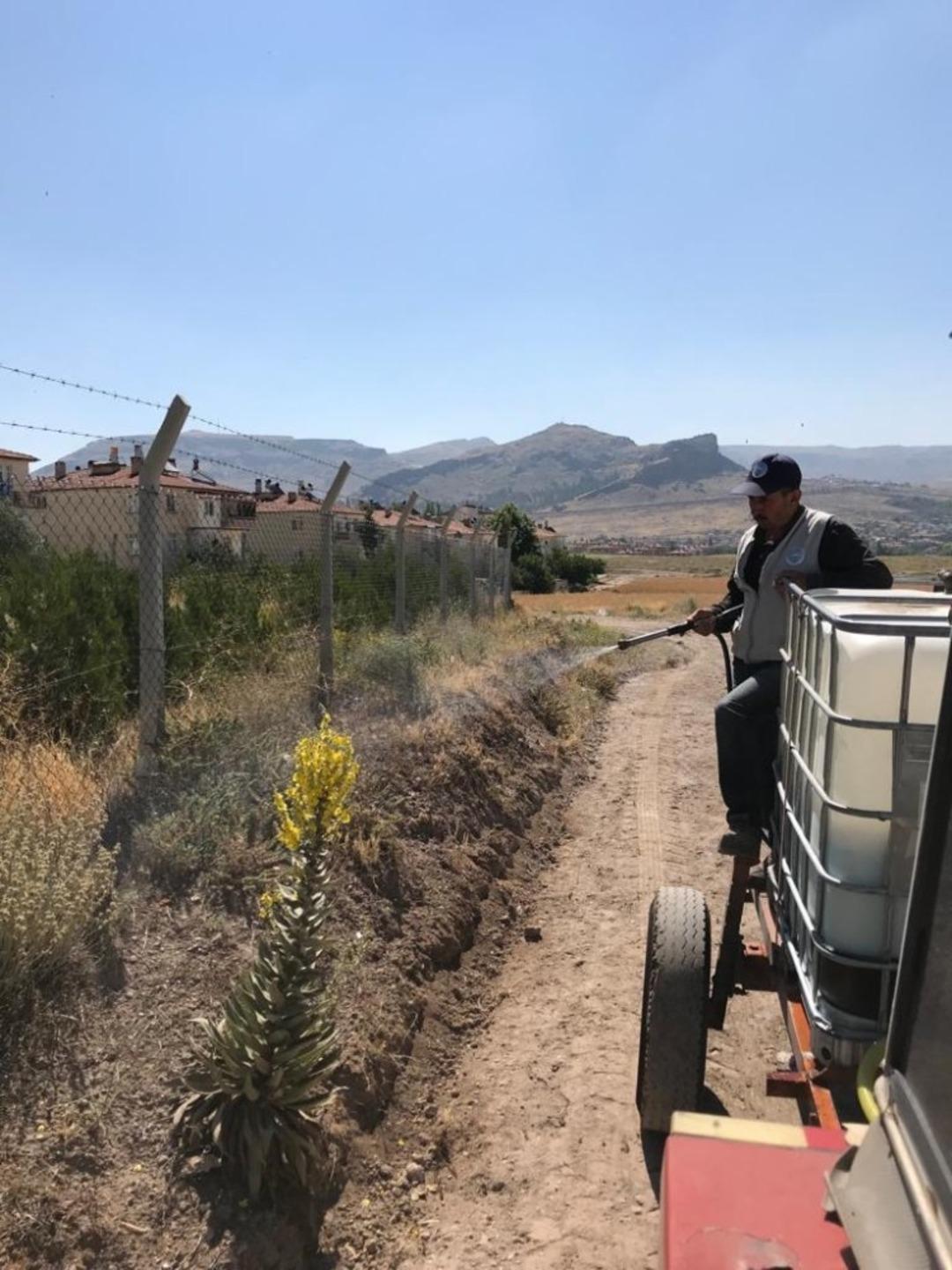 Develi&rsquo;de parklarda &ccedil;im bi&ccedil;me ve ila&ccedil;lama &ccedil;alışması