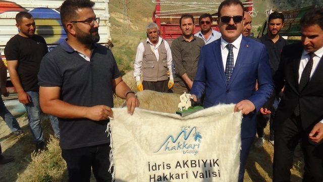 Hakkari’de 987 küçük baş hayvan dağıtıldı