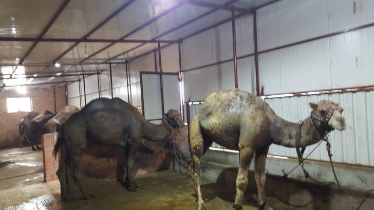 Bu insanların ne yaptığını öğrenince şaşıracaksınız G1