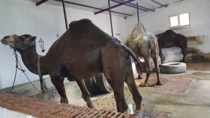 Bu insanların ne yaptığını öğrenince şaşıracaksınız G2