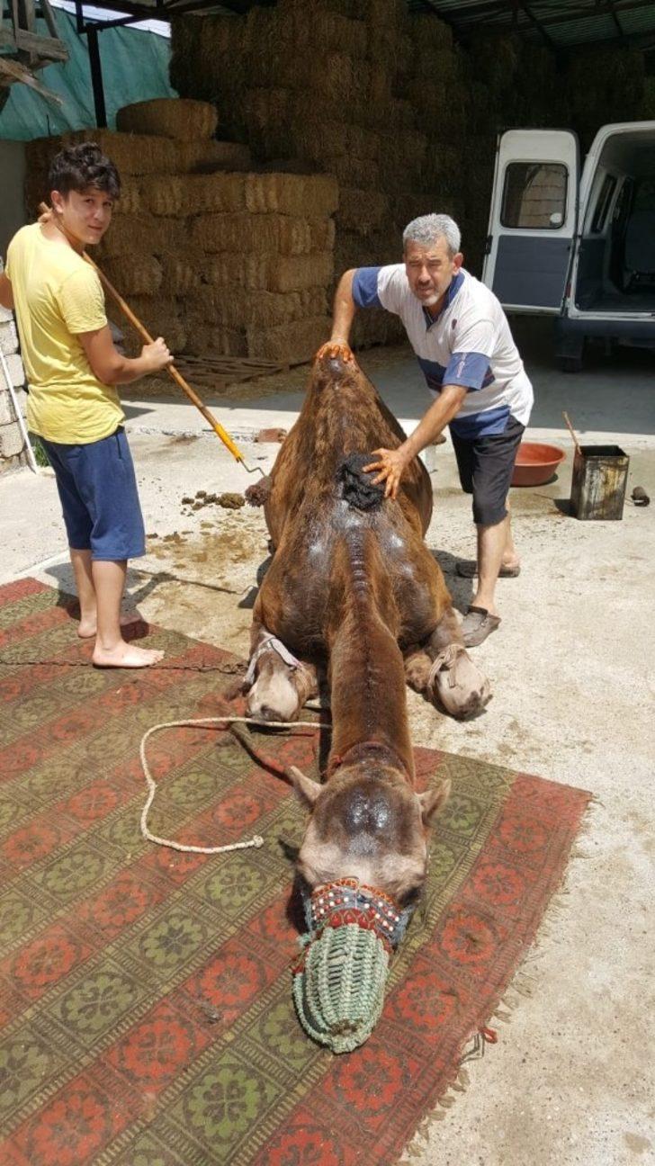 Bu insanların ne yaptığını öğrenince şaşıracaksınız G3
