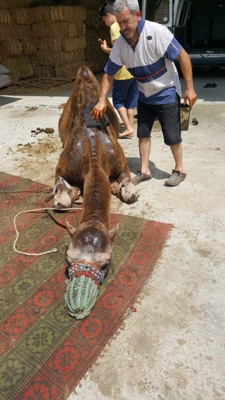 Bu insanların ne yaptığını öğrenince şaşıracaksınız G4