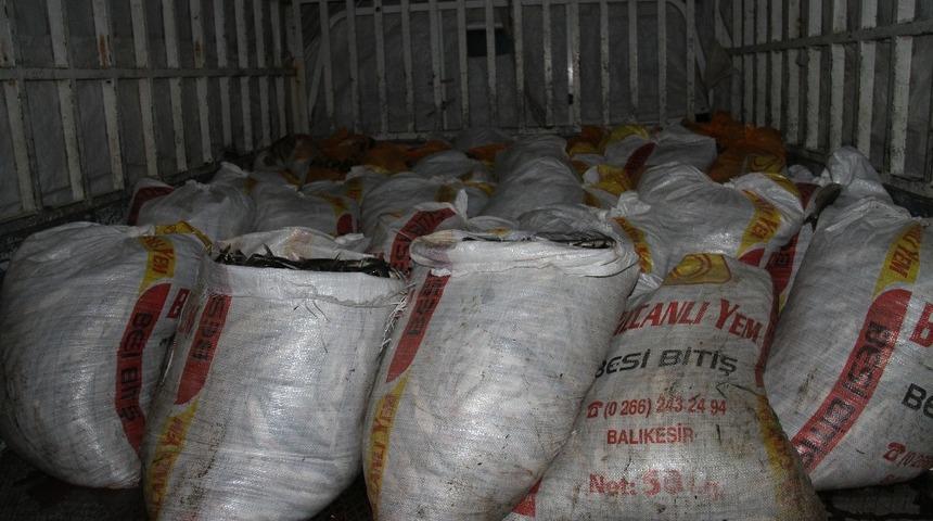 Muradiye ilçesinde 4 ton kaçak avlanmış inci kefali ele geçirildi