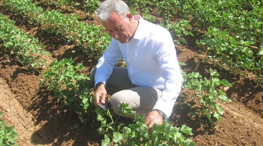 Araban&rsquo;da pamuk &uuml;retimi i&ccedil;in &ouml;nleyici tedbirler arttırıldı