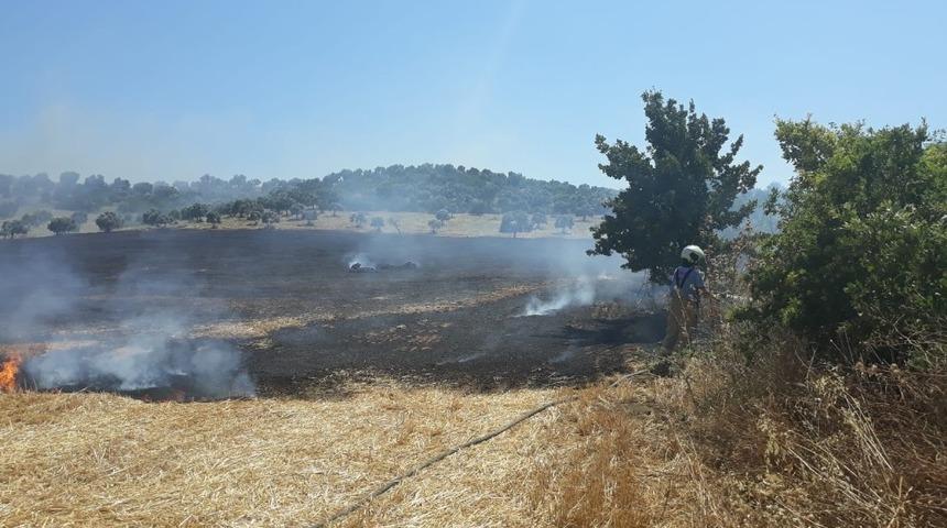 Burhaniye’de anız yangını itfaiye söndürdü