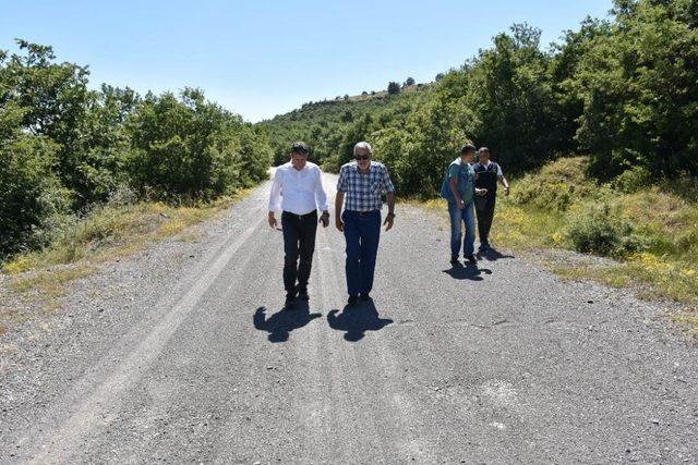 İnönü Bal Ormanı çalışmaları tüm hızıyla devam ediyor