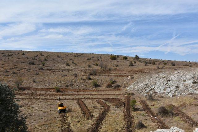 İnönü Bal Ormanı çalışmaları tüm hızıyla devam ediyor