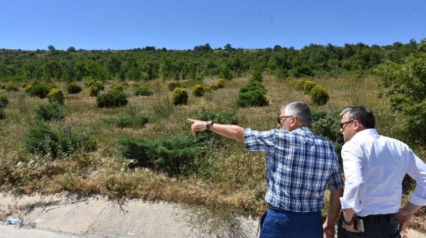 İn&ouml;n&uuml; Bal Ormanı &ccedil;alışmaları t&uuml;m hızıyla devam ediyor