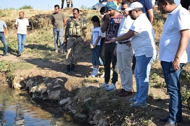 Kozluk&rsquo;taki balıklı g&ouml;l&uuml;n &ccedil;evre d&uuml;zenlemesi yapılacak 2