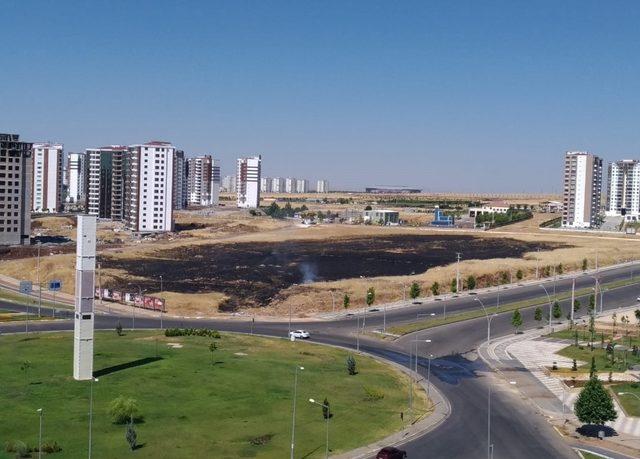 Diyarbakır’da yanan tarladan geriye kara toprak kaldı