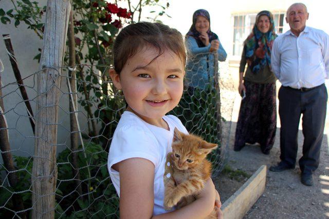 Minik Azra, selden kurtardığı yavru kediye 'Pamuk' adını verdi