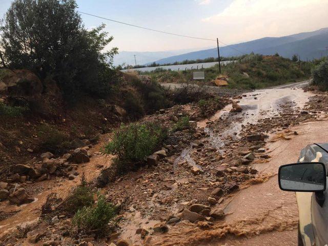 Karacasu'da şiddetli yağmur ve rüzgar bahçelere zarar verdi