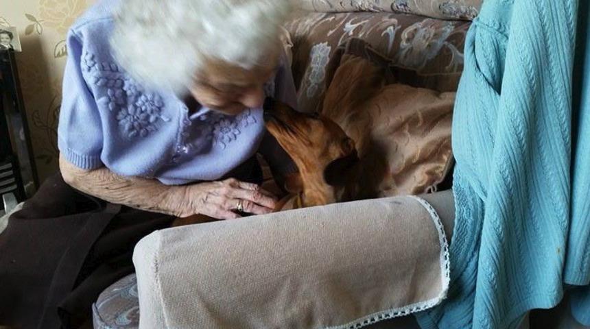 Alzheimer'lı Kadın ile Köpek Yavrusunun Kalbe Dokunan Hikayesi