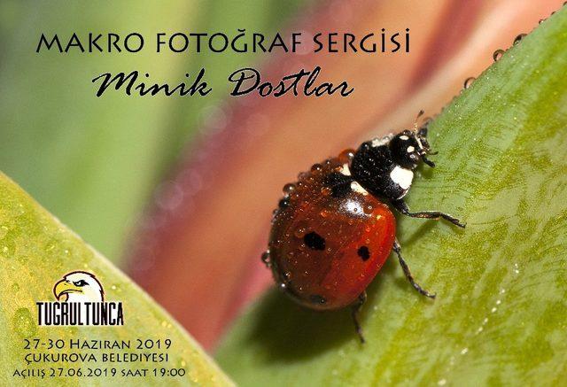 Dr. Tuğrul Tunca’dan Minik Dostlar Makro Fotoğraf Sergisi