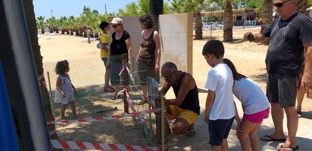 Caretta carettalar 3 yıl sonra yeniden Didim sahilinde