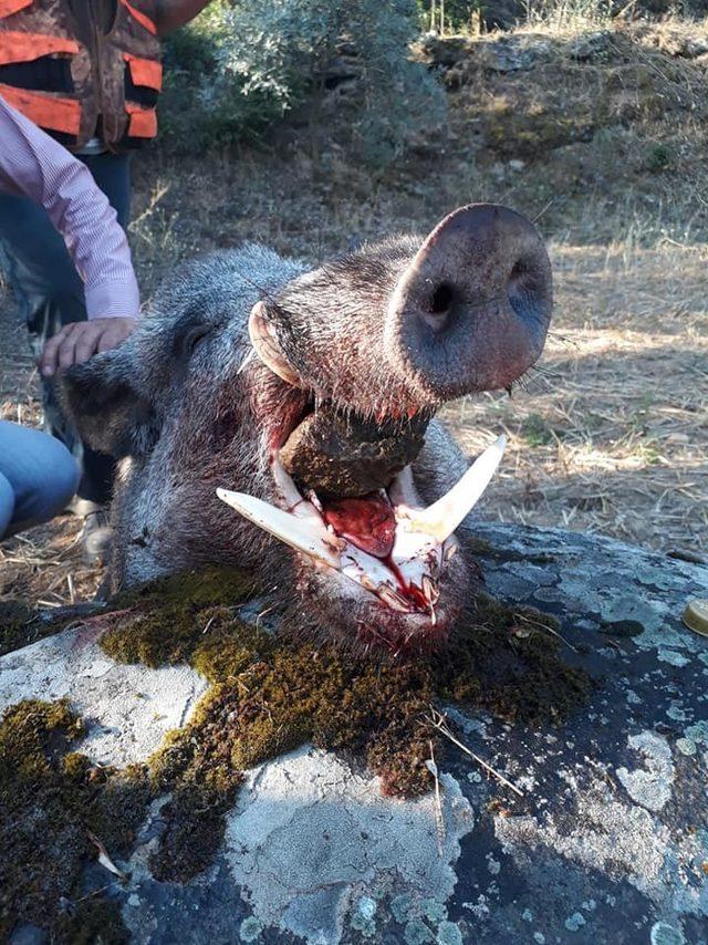 Çiftçilerin korkulu rüyasıydı