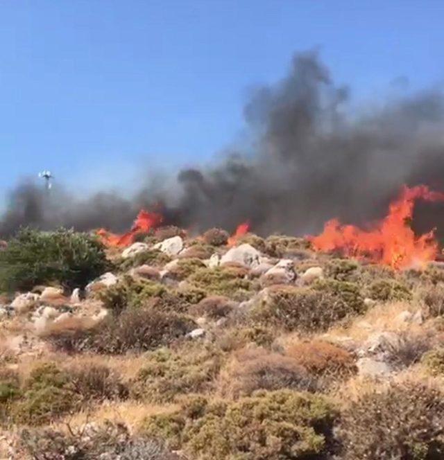 Datça'da makilik alanda yangın (2)