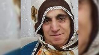 Trabzon'da bahçede çalışırken arı sokan kadın öldü