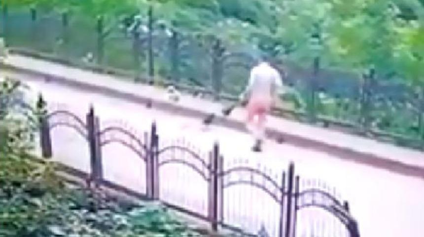 Belediye işçisi yavru köpeği faraşa koyup dereye fırlattı! Kan donduran görüntü!