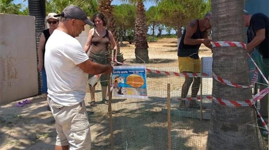 Didim'de 3 yıl sonra iribaş deniz kaplumbağası yuvası görüldü