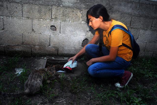 Anne- kızın sokak kedilerini besleyen genç kadını darbettiği iddiası 