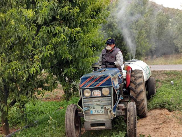 Belediye Başkanı, mesai sonrası tarlasında çalışıyor