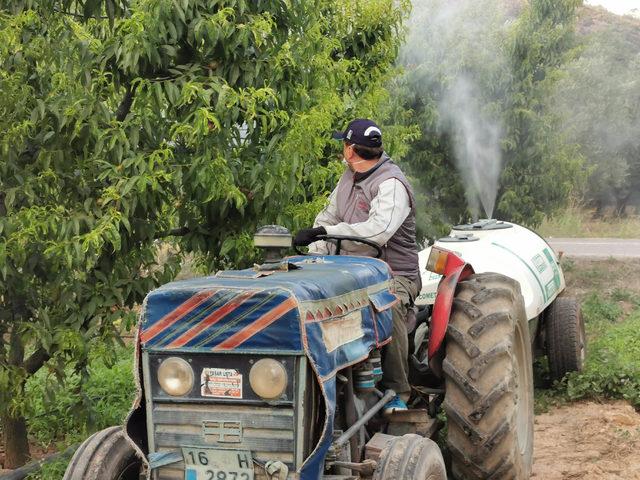 Belediye Başkanı, mesai sonrası tarlasında çalışıyor