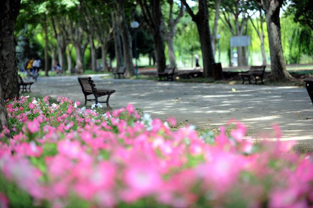 Sıcaklardan bunalan Bursalılar, Botanik Park'a koştu