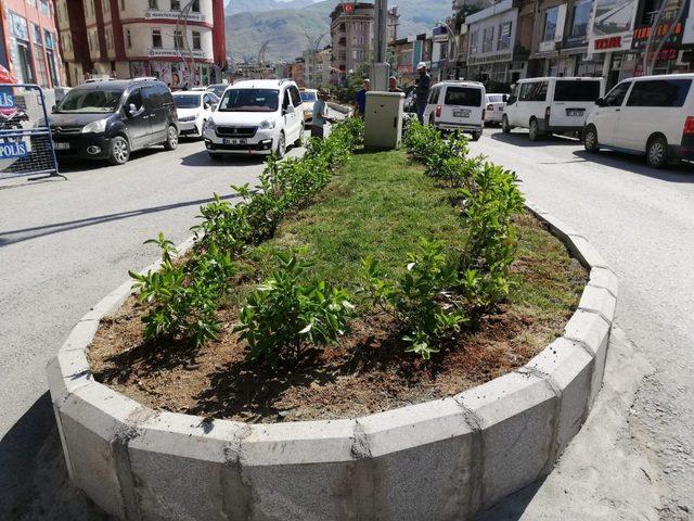 Hakkari Belediyesinden yeşillendirme çalışması