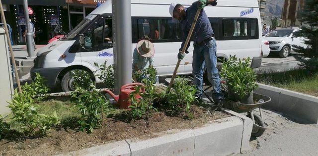 Hakkari Belediyesinden yeşillendirme çalışması