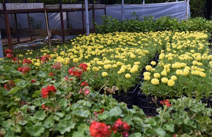 Kepez’de yeşil seferberliği G2