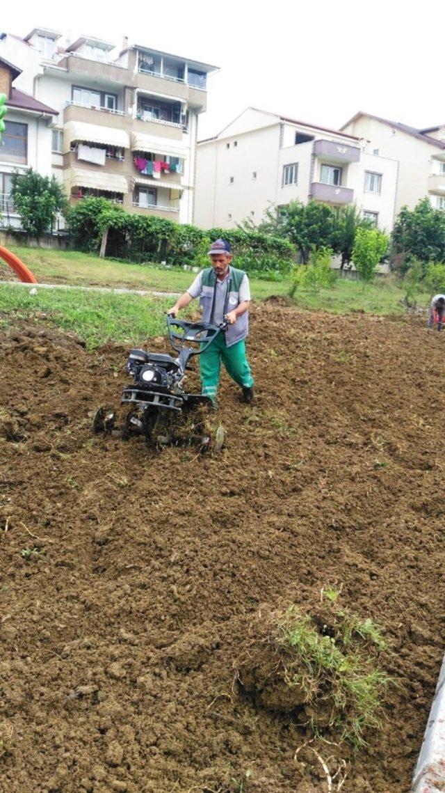 Parklar sürekli bakımdan geçiyor