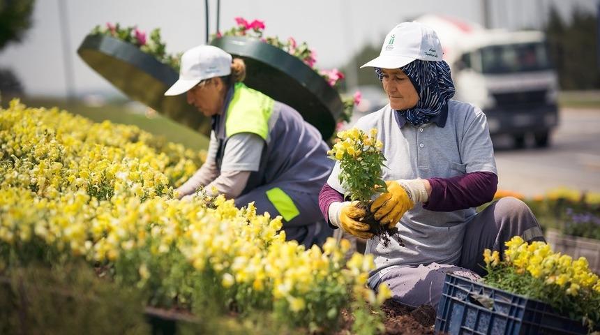 Tepebaşı Belediyesi 225 bin adet &ccedil;i&ccedil;ek &uuml;retimi ile kenti s&uuml;sledi