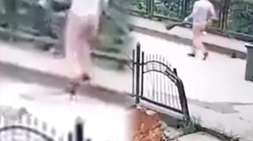 Rize'de yavru köpeği dereye atan temizlik işçisi hakkında soruşturma başlatıldı