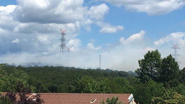 Sarıyer'de orman yangını (1)