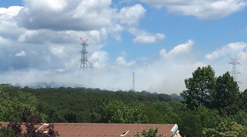 Sarıyer'de orman yangını (1)