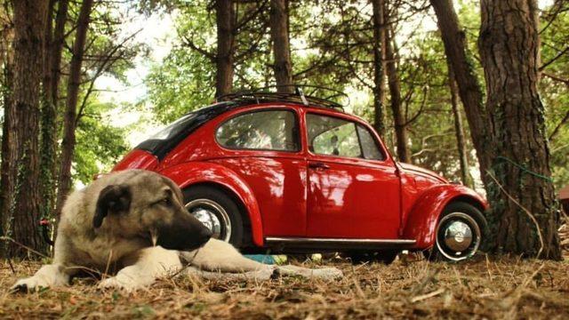 Vosvos Festivali başlıyor