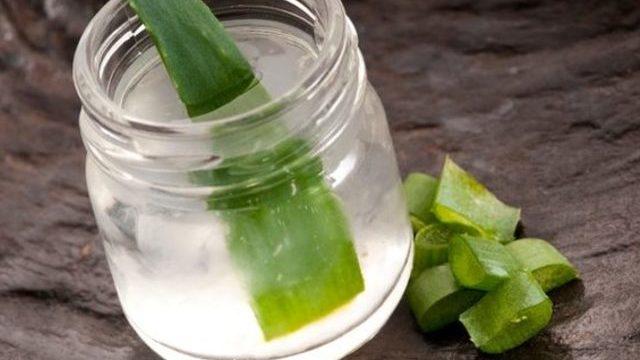 Aloe vera suyunun mucize etkileri nelerdir?