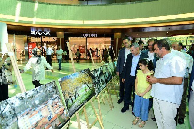 Yeşilyurt’un güzellikleri kadrajda ölümsüzleşti