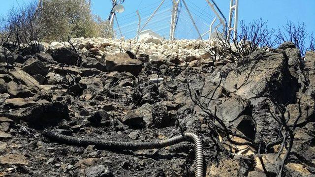 Datça'daki yangında 20 hektar makilik alan yandı (2)