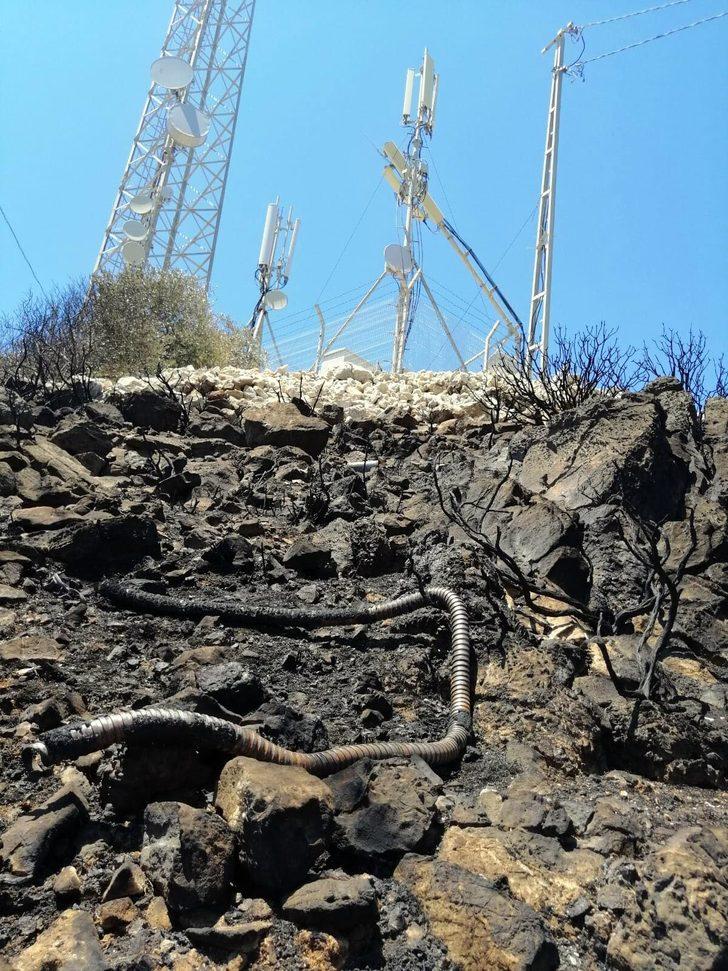 Datça'daki yangında 20 hektar makilik alan yandı (2)