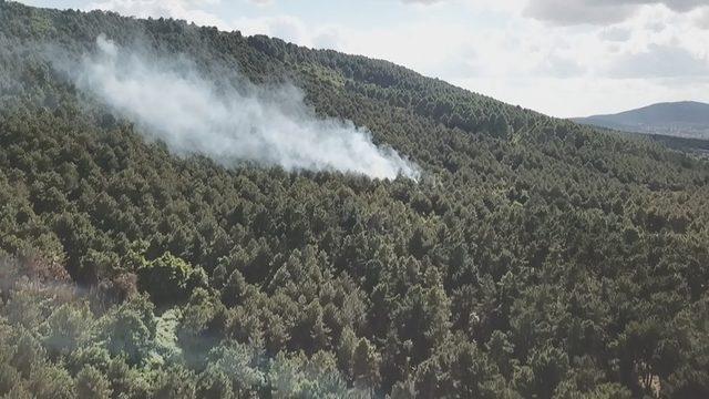 (Havadan fotoğraflarla) Aydos Ormanı'nda yangın