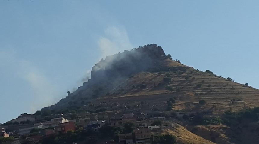 Mardin Kalesi’nde otlar tutuştu, itfaiye yangını söndürmek için seferber oldu