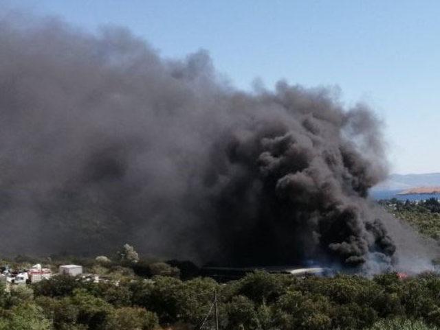 Bodrum'da atık merkezinde başlayan yangın makilik alanı da yaktı