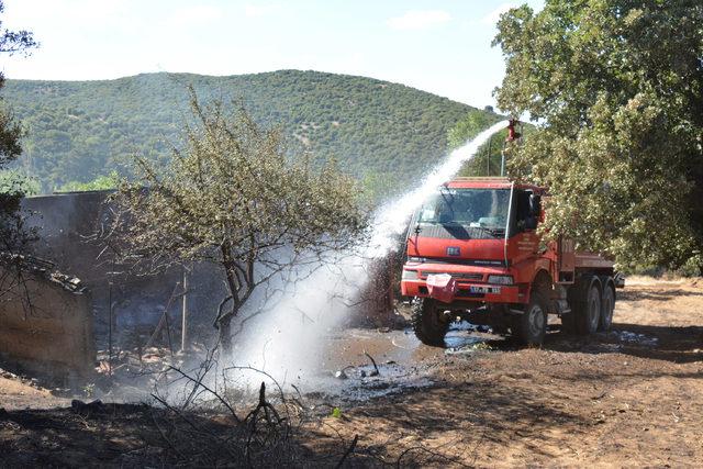 Hem buğdayları hem 53 küçükbaş hayvanı yandı